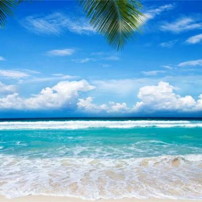 天健棋牌app下载